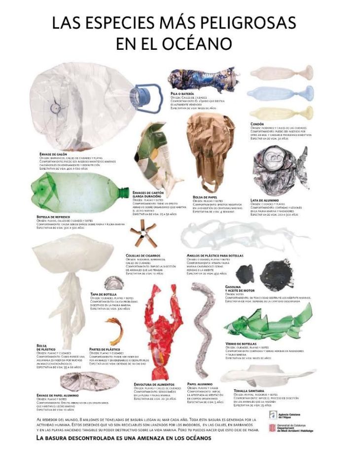 infografia-las-especies-más-peligrosas-del-oceano